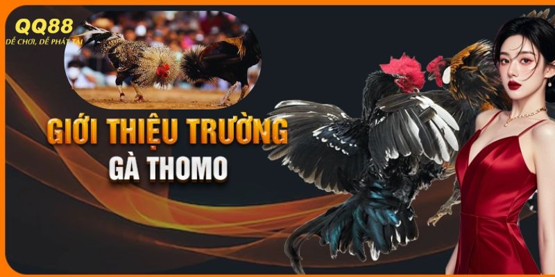 Một số thông tin cơ bản về trường gà Thomo